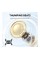 Бездротові навушники Soundcore P40i Bluetooth White