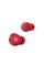 Бездротові навушники Beats Solo Buds Bluetooth 5.3 red